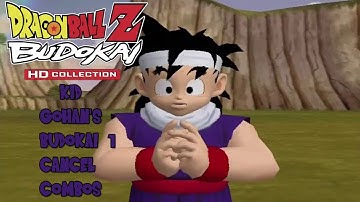 DBZ Budokai 1 HD (PS3) - Kid Gohan