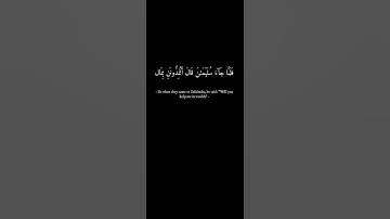 و إني مرسلة اليهم بهدية فناظرة بما يرجع المرسلون / سورة النمل / اسلام صبحي