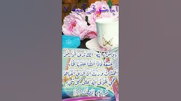 سورة فصلت 37_39