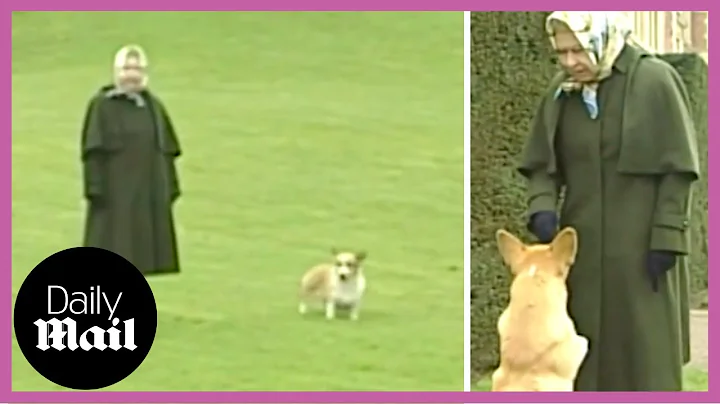 2006: Queen Elizabeth II tries to remember names of ALL her corgis - DayDayNews
