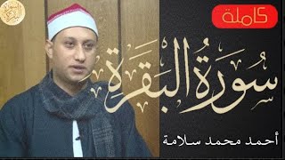 Download Lagu سورة البقرة كاملة أحمد محمد سلامة - Sourat al baqara Ahmed Mohammed Salama MP3 Download Lagu سورة البقرة كاملة أحمد محمد سلامة - Sourat al baqara Ahmed Mohammed Salama MP3