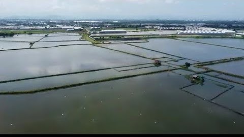 Lokasi Tempat Mancing Di Samping Jalan Tol Makassar || Video Drone
