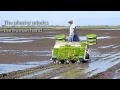 Far West Rice - Planting Rice Japanese Way