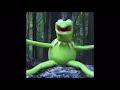 Kermit Does Ice Bucket Challenge Goes EXTREMELY Wrong Kermit Does Ice Bucket Challenge Goes EXTREMELY Wrong