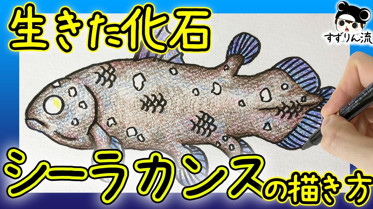 どうぶつの森でもおなじみ 生きた化石 シーラカンスの描き方 Youtube