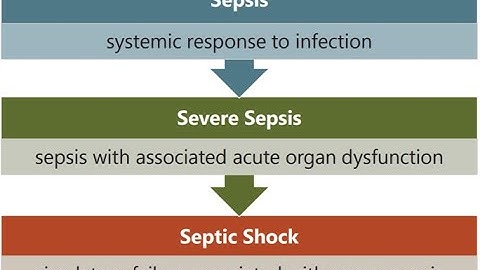 Sepsis, SIRS, Septic Shock ICD-10-CM Coding for CPC and CCS Exam