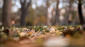 سورة البروج القارئ وهيب اليزيدي 2 3 1439