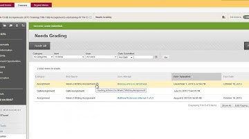 View An Assignment Submission