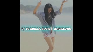 DJ TE MOLLA slow remix || angklung version