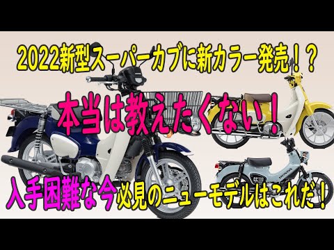 新型クロスカブ、スーパーカブ購入者必見!新型スーパーカブ110プロ爆誕!