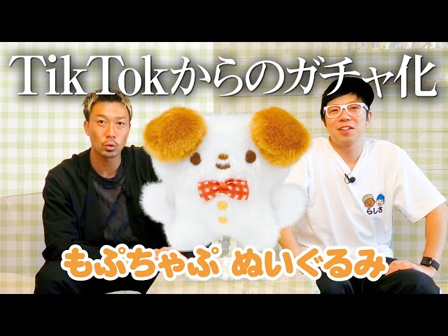 もぷちゃぷ】TikTokからのガチャガチャ化！＜発売店舗情報はYouTube