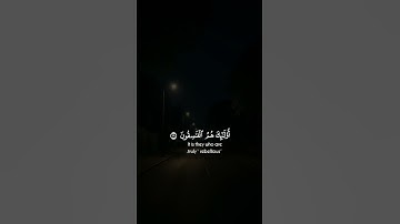 قران كريم بصوت القارئ ياسر الدوسري  |Holy Quran 🌿 #ياسر_الدوسري#quran