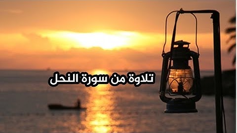 يعرفون نعمة الله ثم ينكرونها..| تلاوة آيات من سورة النحل | #عبدالملك_العلي_أبو_يعقوب