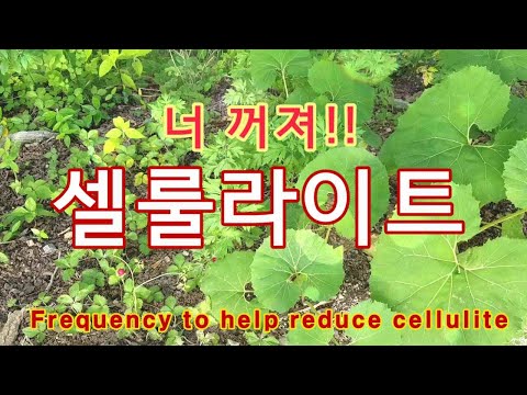 🥦셀룰라이트 감소에 도움을 주는 주파수/Frequency to help reduce cellulite