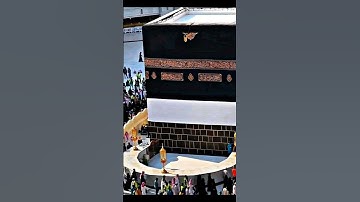 #اكسبلور #المصحف #قرآن #الرحمن #دعاء # سوره الغاشيه