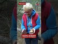 Грибная лихорадка захватила Беларусь 🍄 Боровики уже повсюду #Беларусь #грибы #боровики #подосиновики