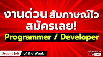 งานด่วน สัมภาษณ์ไว!!! ตำแหน่ง Programmer / Developer