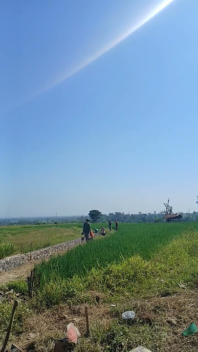 Indahnya kampungku #kampung #desa