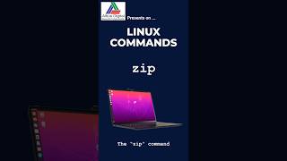Information The zip Command - Tech Shorts on Linux Commands.  #linuxcommandlinetutorial, #linuxcommands Guide
