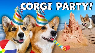 We Partied with over 1,000 Corgis at Corgi Beach day in California!