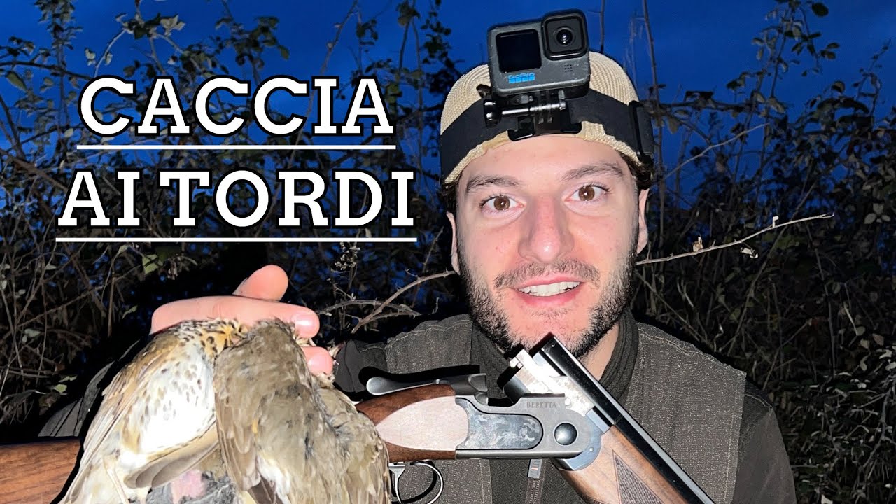 Caccia ai tordi 2024: Utilizzando il mio nuovo Beretta Ultraleggero DM in cal.20