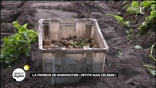 La primeur de Noirmoutier : petite mais célèbre