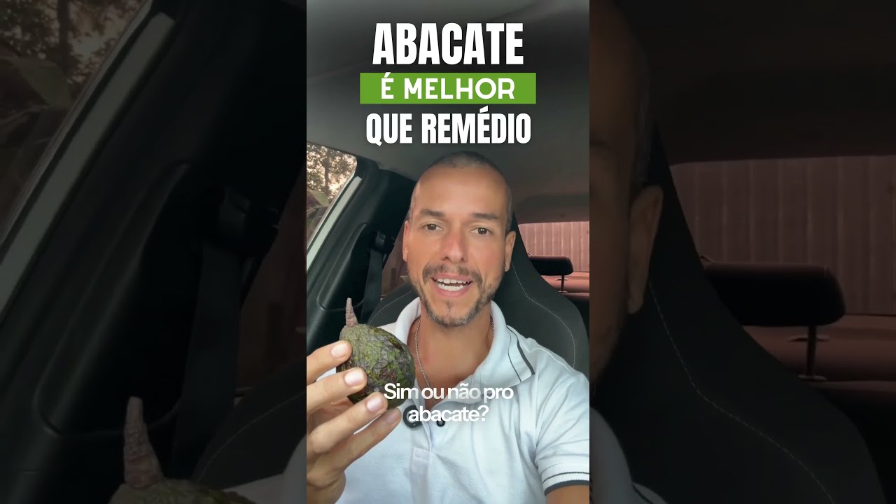 Abacate é Melhor Que Remédio! Abacate Sim Ou Não?