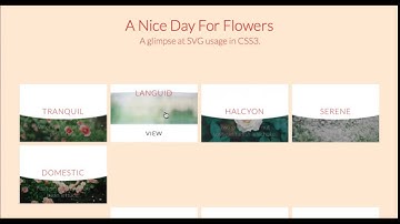 John Hurley SVG Animation