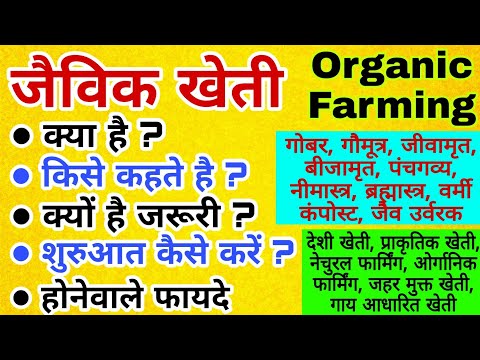 Jaivik Kheti क्या है? क्यों है जरूरी? कैसे करें? | Organic Farm शुरू कर रहे किसानों के लिए प्रेरणा
