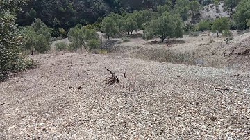 ماتيسر من سورة آل عمران برواية ورش عن نافع القراءة جميلة جدا وممتعة