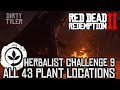 Red Dead Redemption 2 Bandit Challenge #9 Guide - Hogtie ...