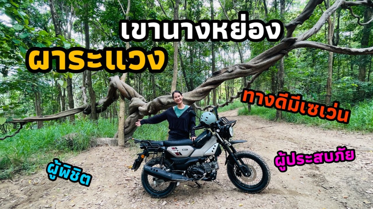 ผาระแวง เขานางหย่อง