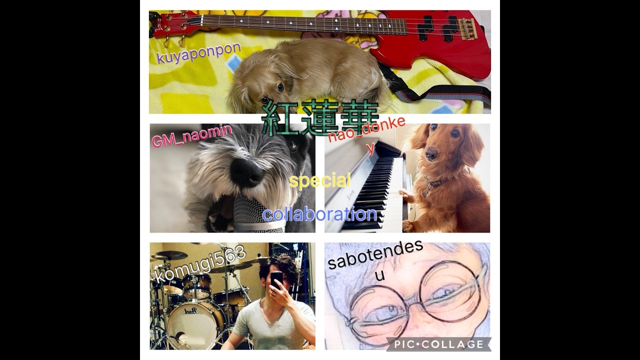 [バンドコラボ] 紅蓮華 -sing special collaboration ver.-