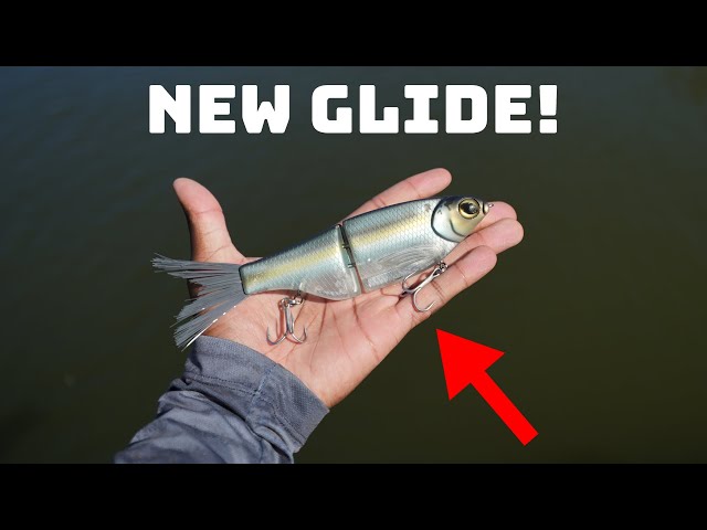 The Best Affordable New Glide Bait On The Market? Spro X KGB Chad Shad! 