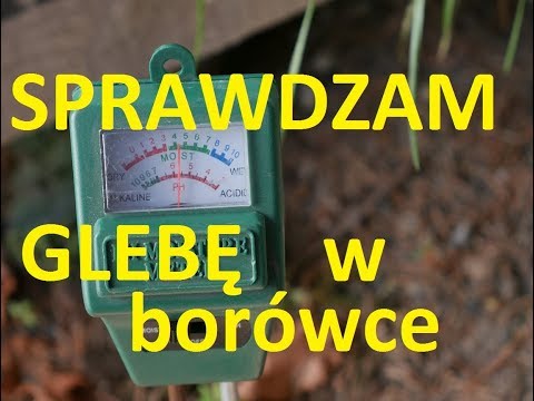 Wideo: Jaki sprzęt jest zwykle używany do spulchniania i przygotowania gleby do sadzenia?