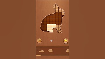 Playing Block Puzzle: Wood Jigsaw Game #020