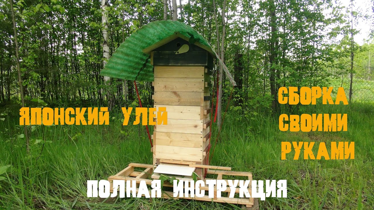 Японский улей. Полная пошаговая инструкция по сборке своими руками.