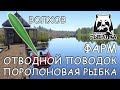 Русская рыбалка 4. р.Волхов. Фарм: Спиннинг. Ультралайт. Отводной поводок. Поролоновая рыбка.