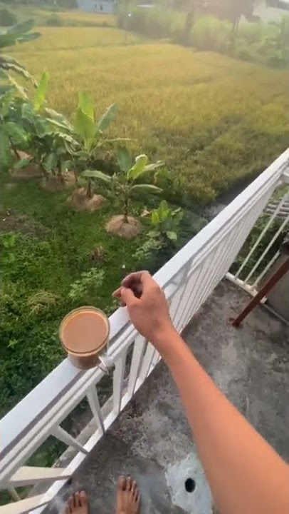 STORY WA NGOPI - COCOK BUAT DIBIKIN SORE SORE☕
