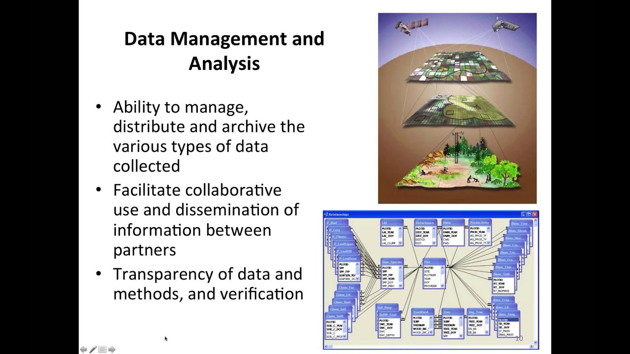 Current Resources for Estimating and Maintaining Forest Carbon