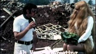 Monty Python - Французский артхаус фильм...