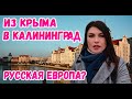 Калининград 2021: Первое впечатление. Русская Европа? Обзор города. Путешествия по России.