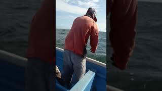 Pot Fishing 2020