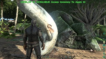 Ark camera height bug report