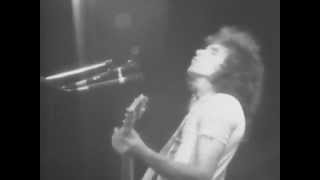 Hot Tuna - Funky #7 - 11/20/1976 - Capitol Theatre (Official)