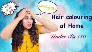 Curly Hair Coloring At Home | Budget friendly| The Curly Girl In Malayalam