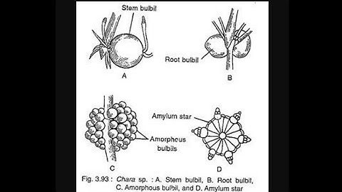 B.Sc. Part-1, Chara - Reproduction (Part-1) by Arvind Gaur