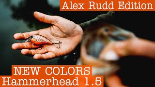 MONSTERBASS Presents the Hammerhead 1.5 Silent Square: Alex Rudd