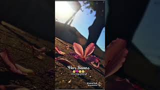 Mehsoos Ise Karke Dekho Har Sans Yahan Per Sapna H vedies