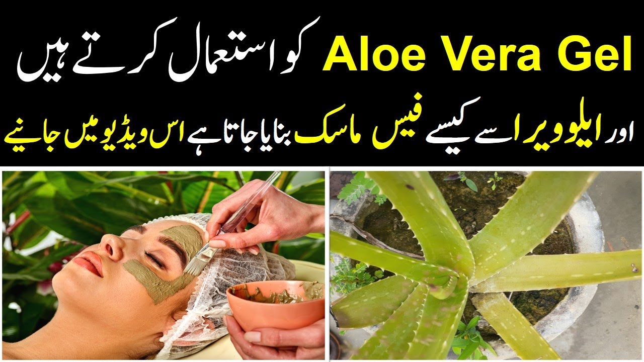 Top Uses of Aloe Vera Gel and DIY Face Mask in Urdu Hindi Aloe Vera
